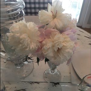 Meet your Posher, Ronnie